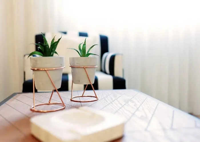 Beauty Flat Gaia Center Apartamento